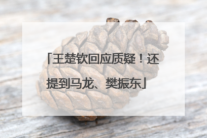 王楚钦回应质疑！还提到马龙、樊振东