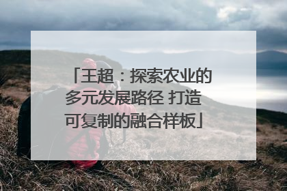 王超：探索农业的多元发展路径 打造可复制的融合样板