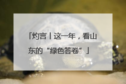 灼言丨这一年，看山东的“绿色答卷”