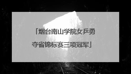 烟台南山学院女乒勇夺省锦标赛三项冠军