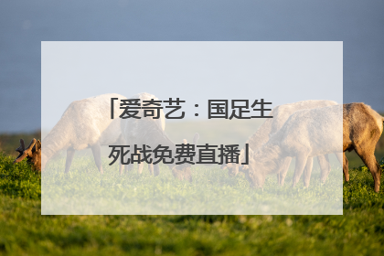 爱奇艺：国足生死战免费直播