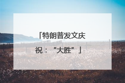特朗普发文庆祝：“大胜”