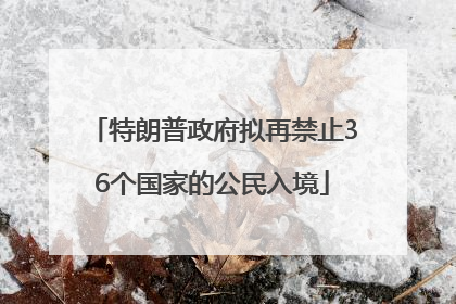 特朗普政府拟再禁止36个国家的公民入境