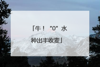 牛！“0”水种出丰收麦