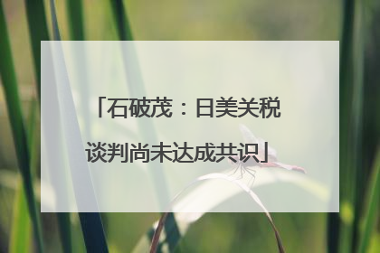 石破茂：日美关税谈判尚未达成共识