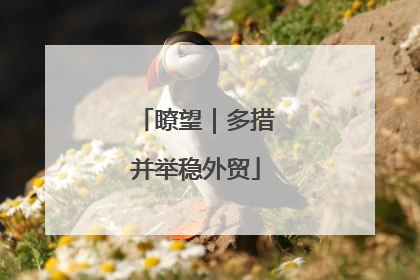 瞭望｜多措并举稳外贸