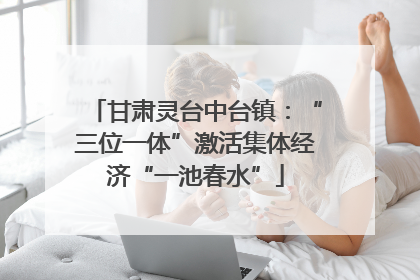 甘肃灵台中台镇：“三位一体”激活集体经济“一池春水”