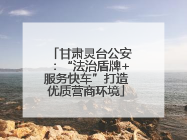 甘肃灵台公安：“法治盾牌+服务快车”打造优质营商环境