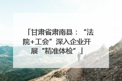 甘肃省肃南县：“法院+工会”深入企业开展“精准体检”