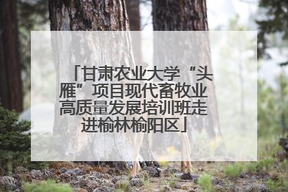 甘肃农业大学“头雁”项目现代畜牧业高质量发展培训班走进榆林榆阳区