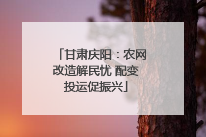 甘肃庆阳：农网改造解民忧 配变投运促振兴