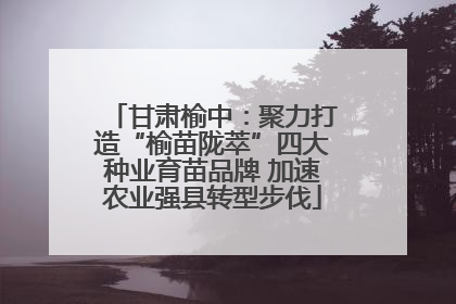 甘肃榆中：聚力打造“榆苗陇萃”四大种业育苗品牌 加速农业强县转型步伐