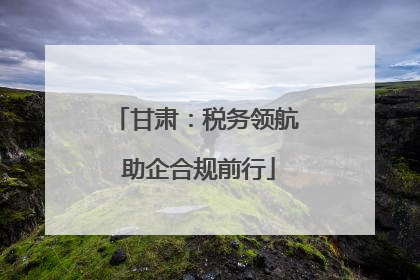 甘肃：税务领航 助企合规前行