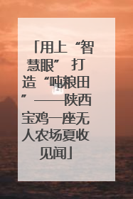 用上“智慧眼” 打造“吨粮田”——陕西宝鸡一座无人农场夏收见闻
