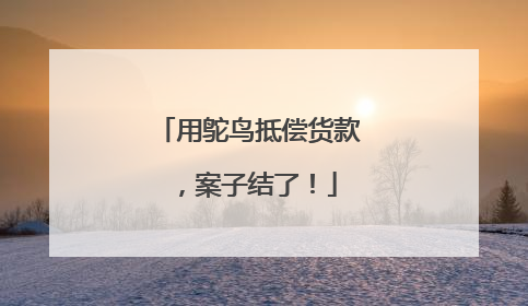 用鸵鸟抵偿货款，案子结了！
