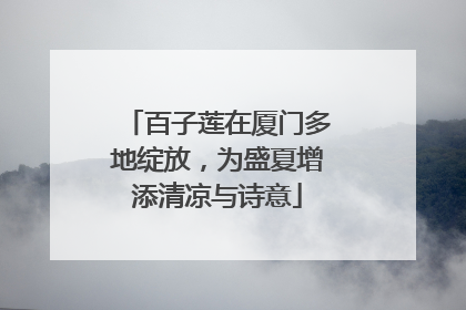 百子莲在厦门多地绽放，为盛夏增添清凉与诗意