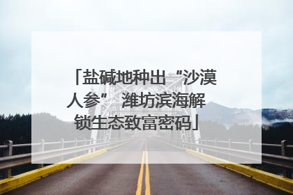 盐碱地种出“沙漠人参” 潍坊滨海解锁生态致富密码