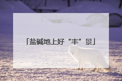 盐碱地上好“丰”景