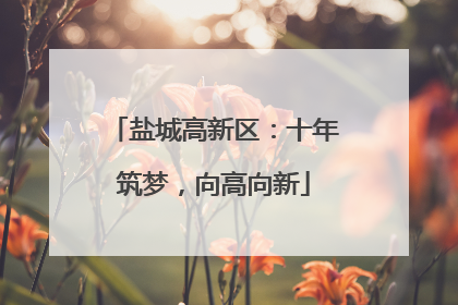 盐城高新区：十年筑梦，向高向新