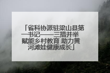 省科协派驻梁山县第一书记——三措并举 赋能乡村教育 助力黄河滩娃健康成长