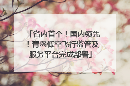 省内首个！国内领先！青岛低空飞行监管及服务平台完成部署