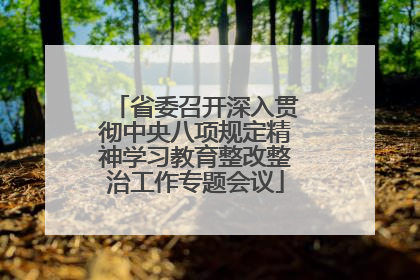 省委召开深入贯彻中央八项规定精神学习教育整改整治工作专题会议