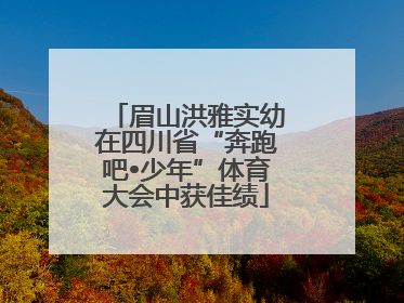 眉山洪雅实幼在四川省“奔跑吧•少年”体育大会中获佳绩