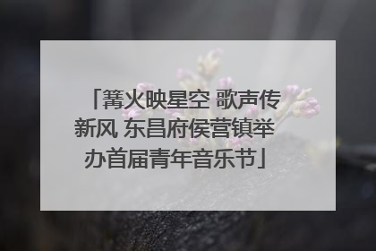 篝火映星空 歌声传新风 东昌府侯营镇举办首届青年音乐节