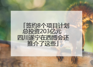 签约8个项目计划总投资203亿元 四川遂宁在西博会还推介了这些