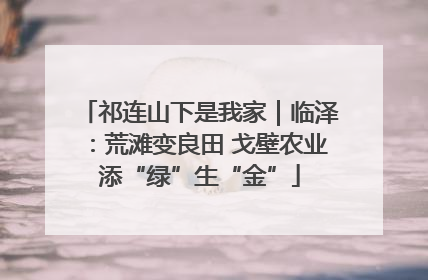 祁连山下是我家｜临泽：荒滩变良田 戈壁农业添“绿”生“金”