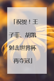祝贺！王子菲、胡凯射击世界杯再夺冠