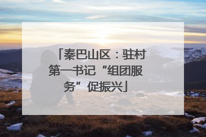 秦巴山区：驻村第一书记“组团服务”促振兴