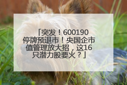 突发！600190停牌预退市！央国企市值管理放大招，这16只潜力股要火？