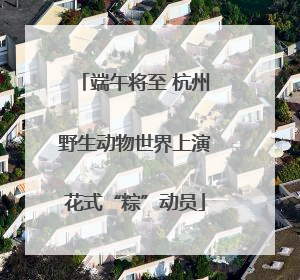 端午将至 杭州野生动物世界上演花式“粽”动员