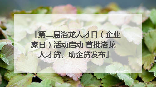 第二届洛龙人才日（企业家日）活动启动 首批洛龙人才贷、助企贷发布