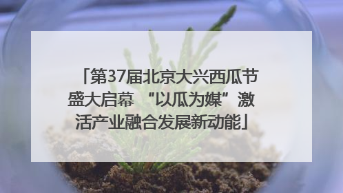 第37届北京大兴西瓜节盛大启幕 “以瓜为媒”激活产业融合发展新动能