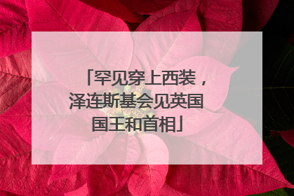 罕见穿上西装，泽连斯基会见英国国王和首相