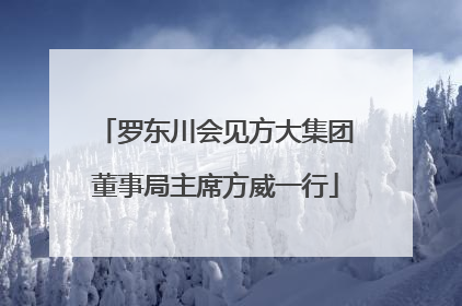 罗东川会见方大集团董事局主席方威一行