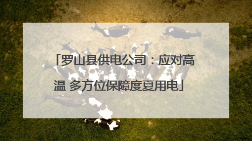 罗山县供电公司：应对高温 多方位保障度夏用电