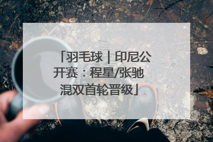 羽毛球｜印尼公开赛：程星/张驰混双首轮晋级