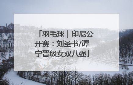 羽毛球｜印尼公开赛：刘圣书/谭宁晋级女双八强