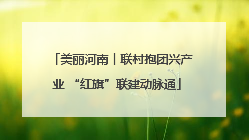 美丽河南丨联村抱团兴产业 “红旗”联建动脉通