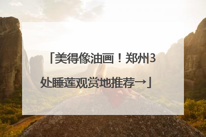 美得像油画！郑州3处睡莲观赏地推荐→