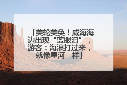 美轮美奂！威海海边出现“蓝眼泪”，游客：海浪打过来，就像星河一样