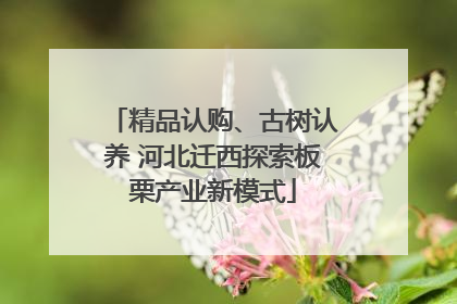 精品认购、古树认养 河北迁西探索板栗产业新模式