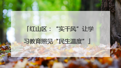 红山区：“实干风”让学习教育照见“民生温度”