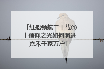 红船领航二十载①丨信仰之光如何照进嘉禾千家万户