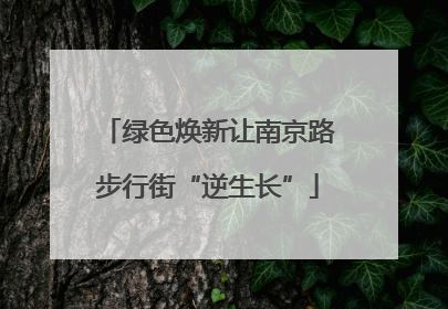 绿色焕新让南京路步行街“逆生长”