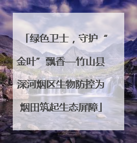 绿色卫士，守护“金叶”飘香—竹山县深河烟区生物防控为烟田筑起生态屏障