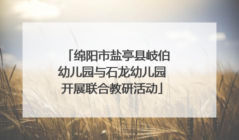 绵阳市盐亭县岐伯幼儿园与石龙幼儿园开展联合教研活动